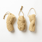 Natural loofah sponge from the Amazon (Mato Grosso)