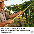 Natürlicher Luffa-Schwamm aus dem Amazonas (Mato Grosso)