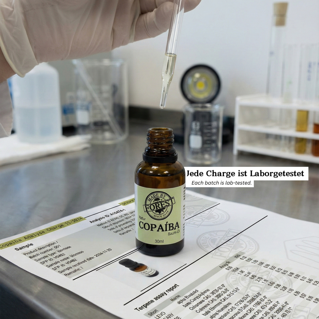 Copaíba Öl direkt aus dem Regenwald - Amazonas, Brasilien
