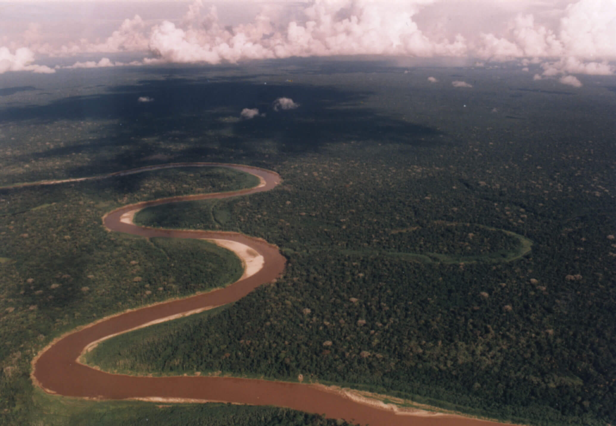 Juruá Fluss im Amazonasgebiet, braunes Wasser, schlängelt sich durch den Urwald Brasiliens. Grüner Regenwald