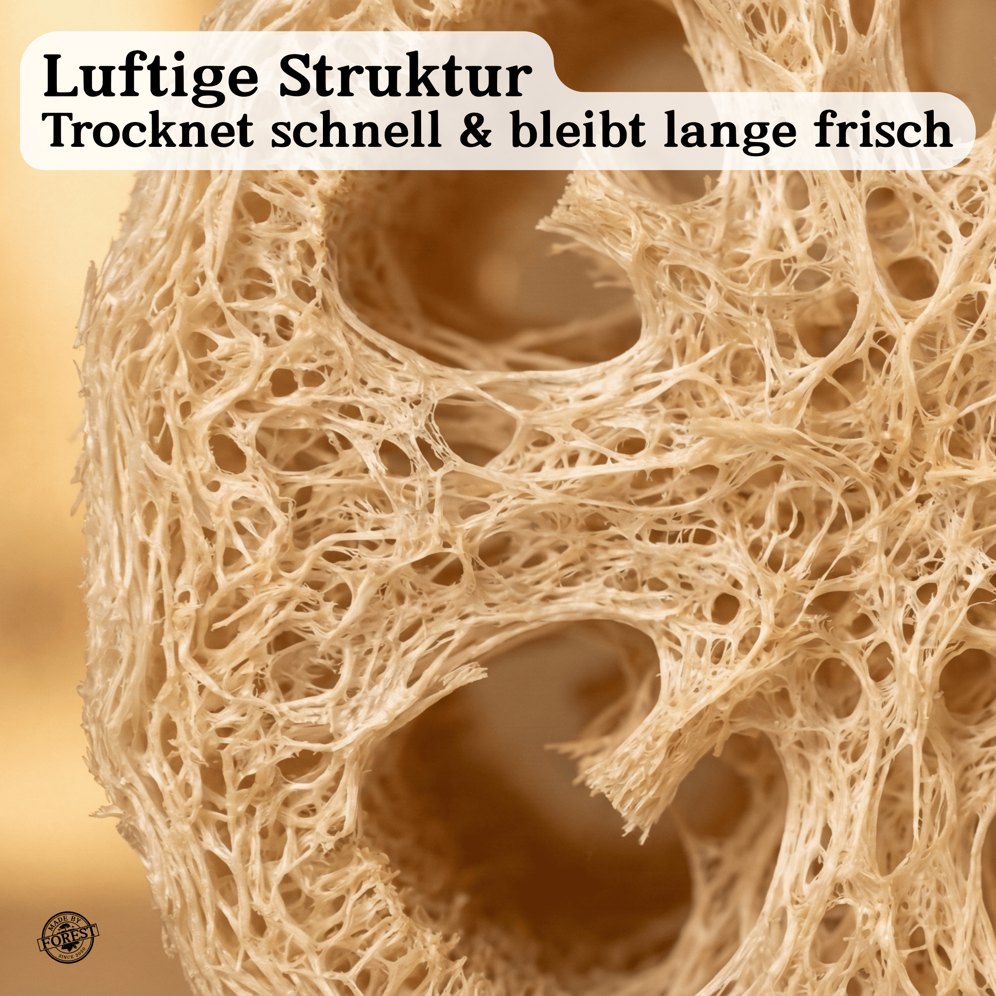 Natürlicher Luffa-Schwamm aus dem Amazonas (Mato Grosso)