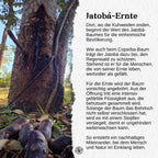 Jatobá Baumsaft - Copal Baumwasser - Hymenea Coubaril Sap - Aus dem brasilianischen Amazonas