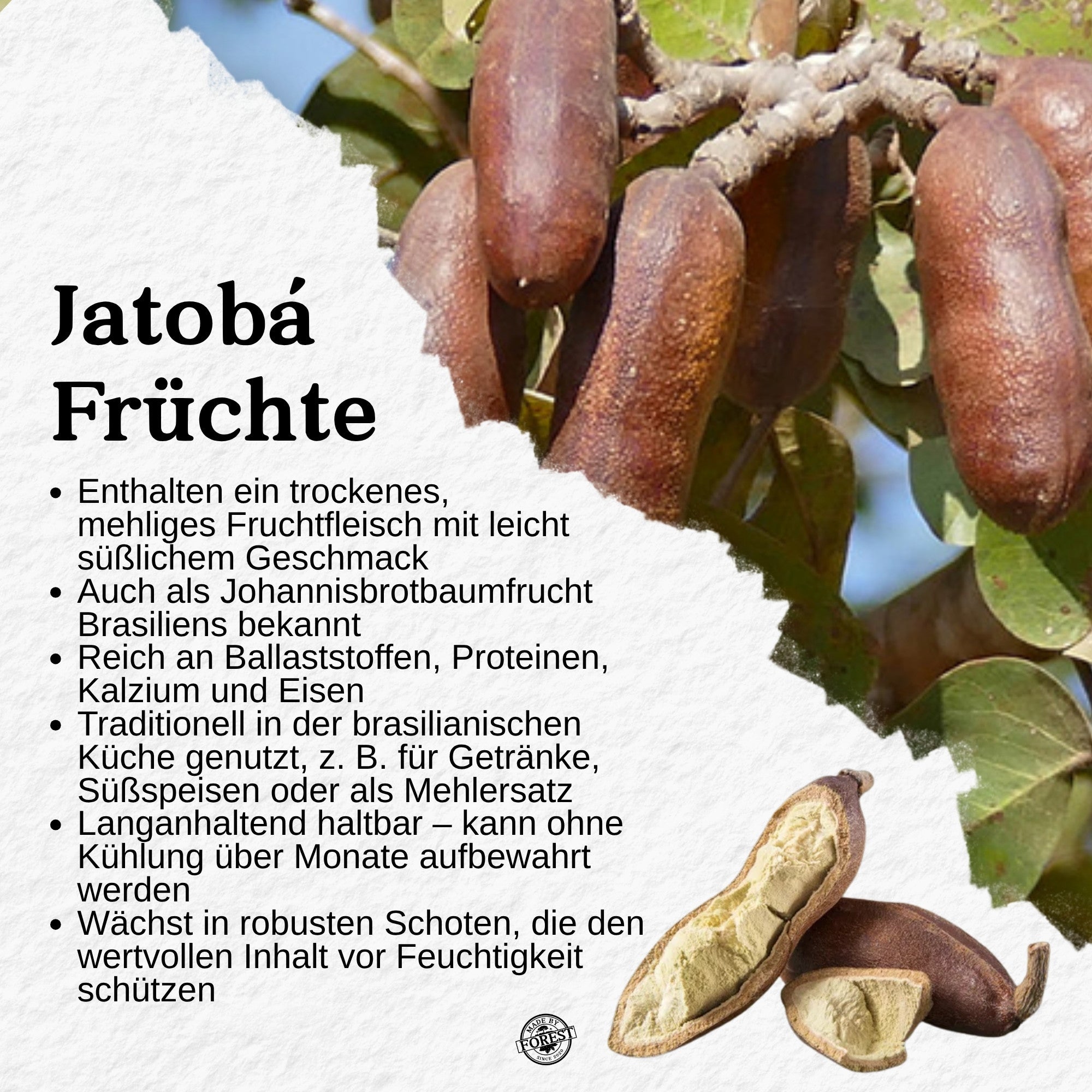 Jatobá Baumsaft - Copal Baumwasser - Hymenea Coubaril Sap - Aus dem brasilianischen Amazonas