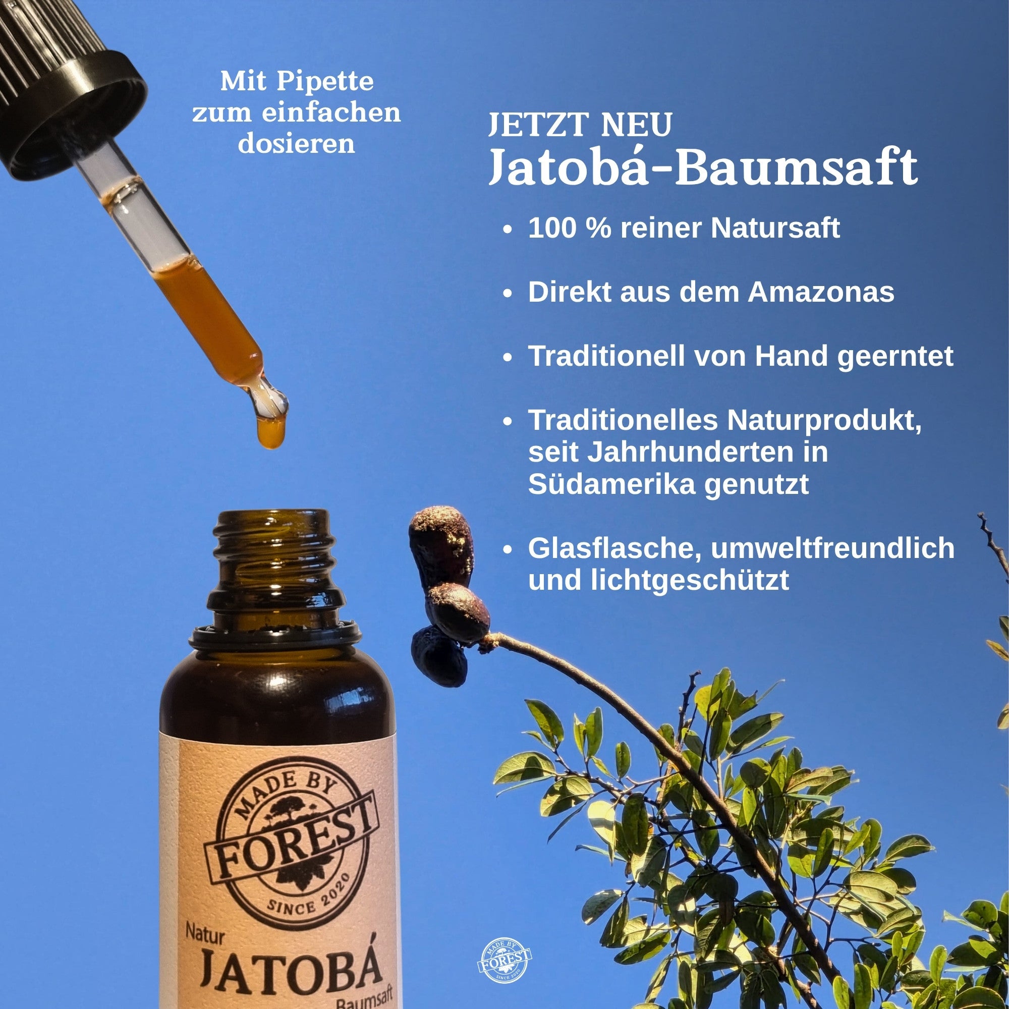 Jatobá Baumsaft - Copal Baumwasser - Hymenea Coubaril Sap - Aus dem brasilianischen Amazonas