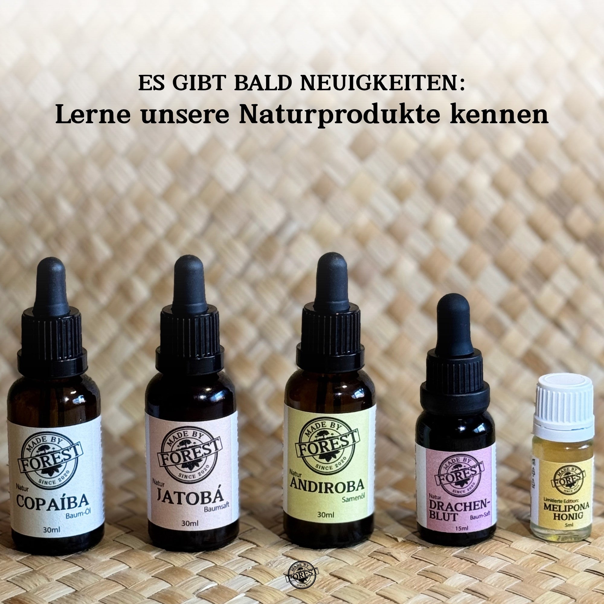 Jatobá Baumsaft - Copal Baumwasser - Hymenea Coubaril Sap - Aus dem brasilianischen Amazonas