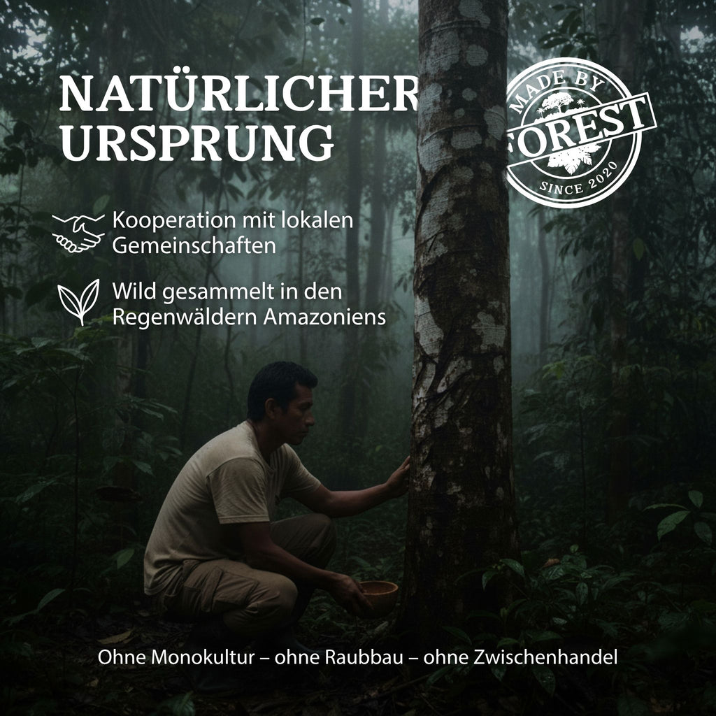 Sangre de Drago (Drachenblutbaum-Saft) – reiner Pflanzenlatex von Croton lechleri, 15 ml – naturbelassener Rohstoff aus dem Amazonas