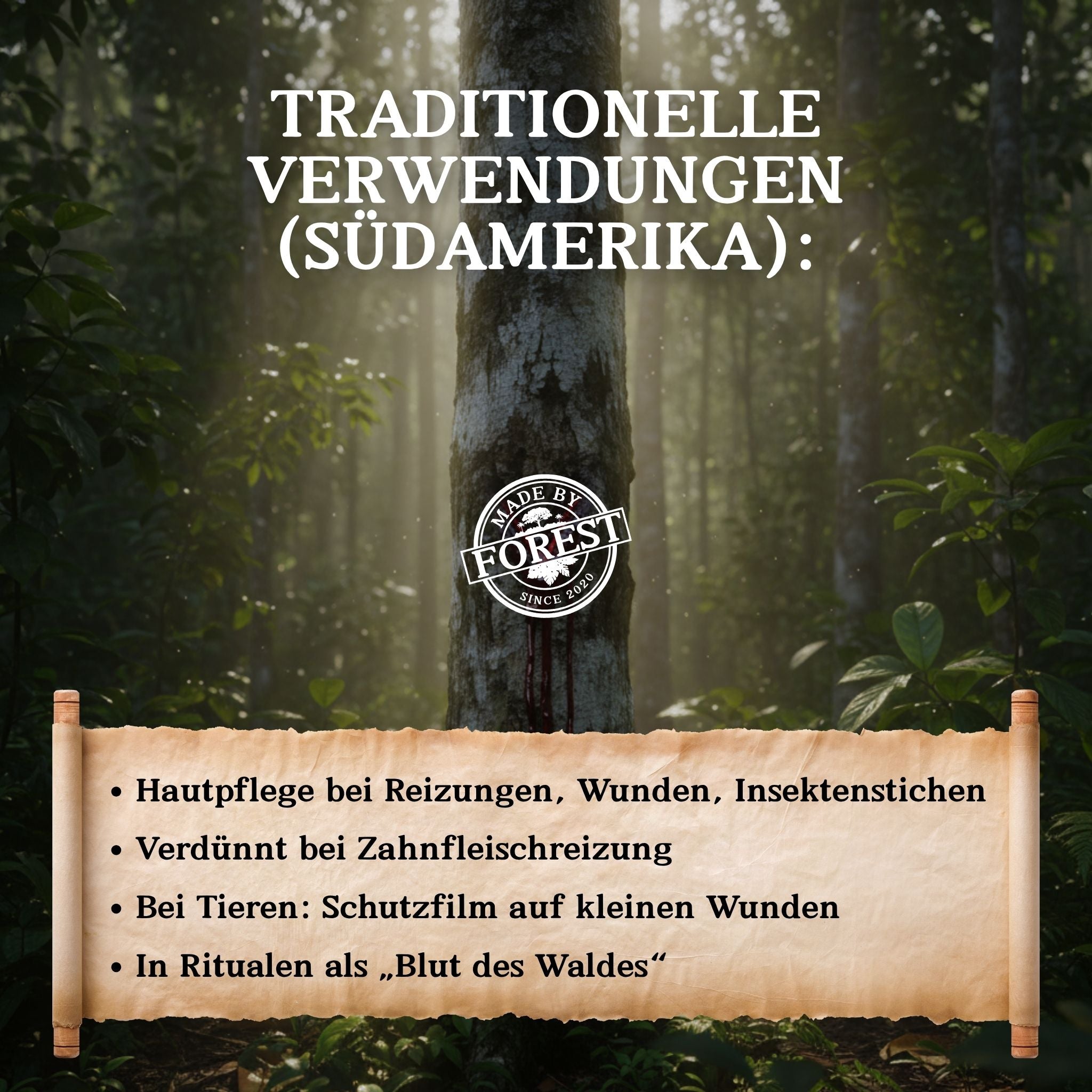 Sangre de Drago (Drachenblutbaum-Saft) – reiner Pflanzenlatex von Croton lechleri, 15 ml – naturbelassener Rohstoff aus dem Amazonas