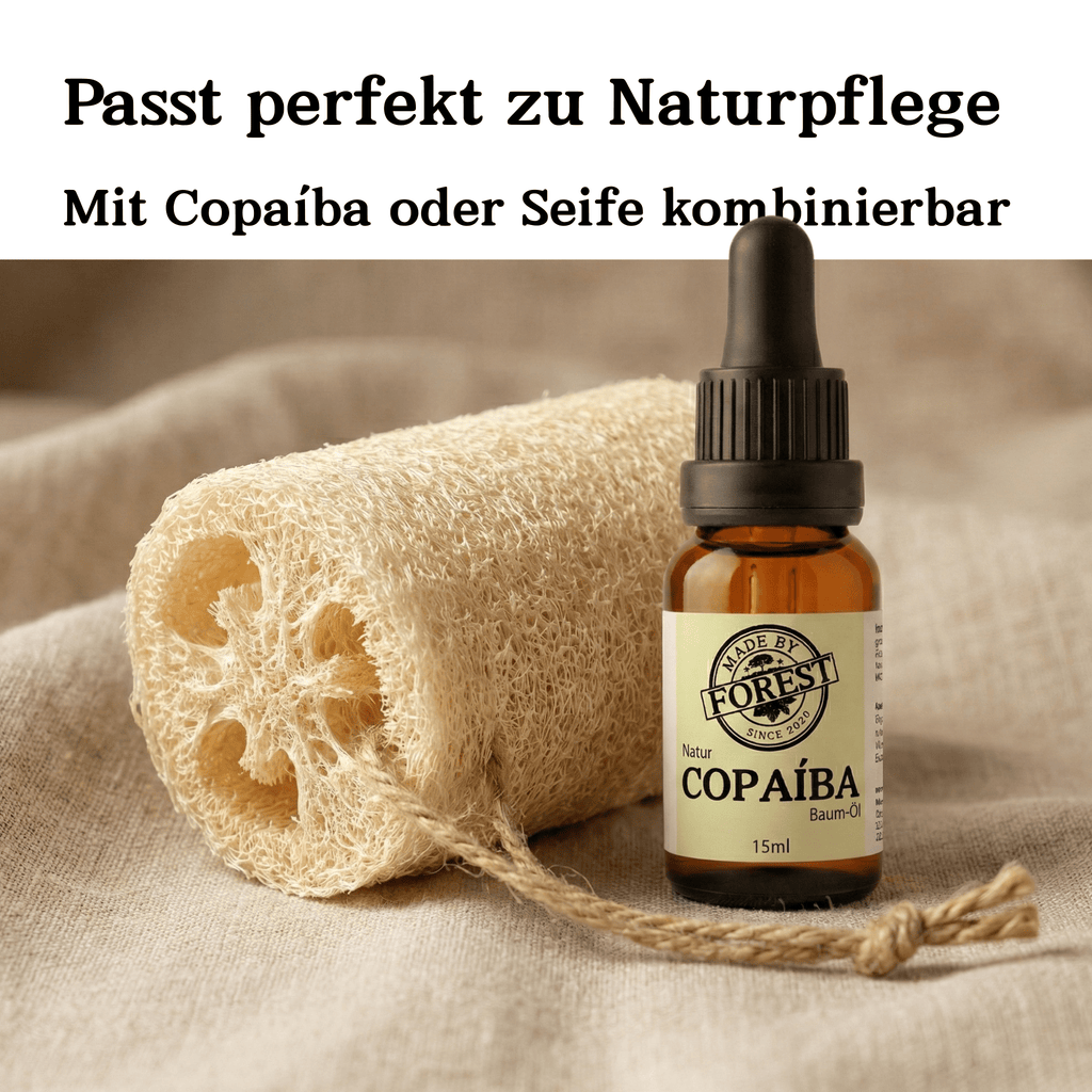 Natürlicher Luffa-Schwamm aus dem Amazonas (Mato Grosso)