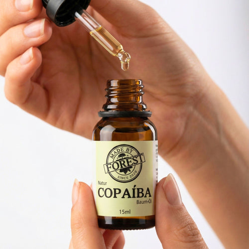 Copaíba Öl direkt aus dem Regenwald - Amazonas, Brasilien